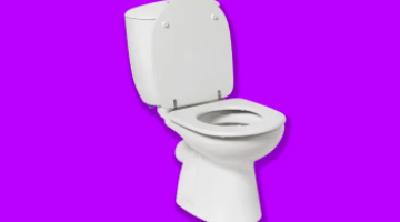 purple background toilet in foreground